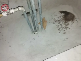 东西湖卫生间测漏水价格明细