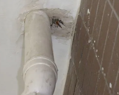 东西湖漏水检测哪家好