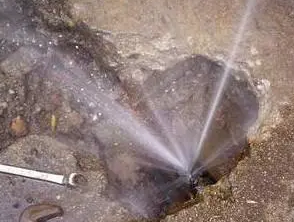 东西湖水管漏水检测哪家好